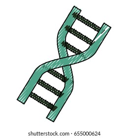 Genetic code