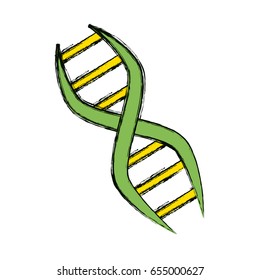 Genetic code