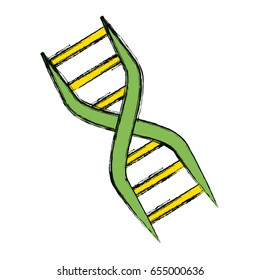 Genetic code