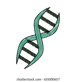 Genetic code