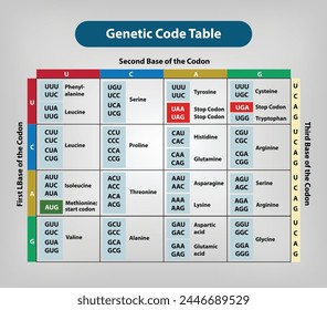 Tabla de códigos genéticos Vector e ilustración