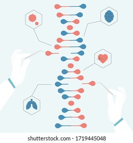 Genetic DNA science The mechanism of the global genome repair Doctors hands editing genome Nanotechnology concept vector illustration