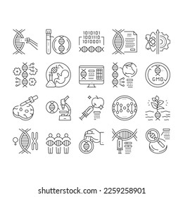 Genetic Engineering Collection Icons Set Vector. Animal And Human, Fruit And Meat Gmo Food, Chemical Laboratory Research And Development Genetic Black Contour Illustrations