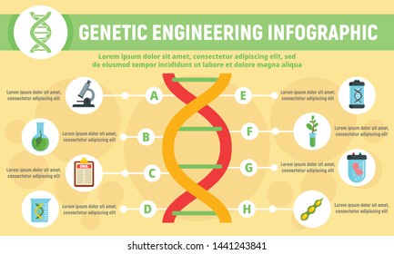 Genetic engineering infographic. Flat illustration of genetic engineering vector infographic for web design