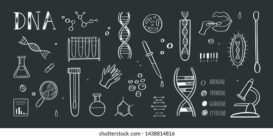 Ingeniería genética e investigación médica vectorial infografía.  Helix de ADN, elementos de prueba del genoma. Concepto de laboratorio químico