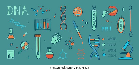 Genetic engineering and medical research vector infographic.  DNA helix, genome testing elements. Chemical laboratory concept