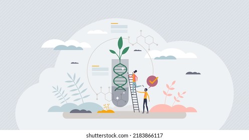 Genetic Engineering In Plants For Agriculture Research Tiny Person Concept. Boost Harvest With Gene Modifications And Scientific Bio Helix Improvements To Avoid Pests And Diseases Vector