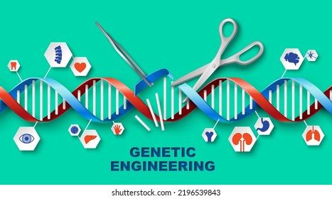 Genetic engineering vector medical poster with DNA human gene design illustration. Biology and biotechnology. Genome research and modification. Scissors cutting heredity gene links