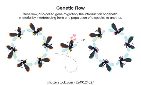 Genetic Flow scientific vector illustration graphic