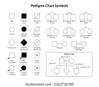 Genetic Genealogy. Pedigree Chart Symbols.