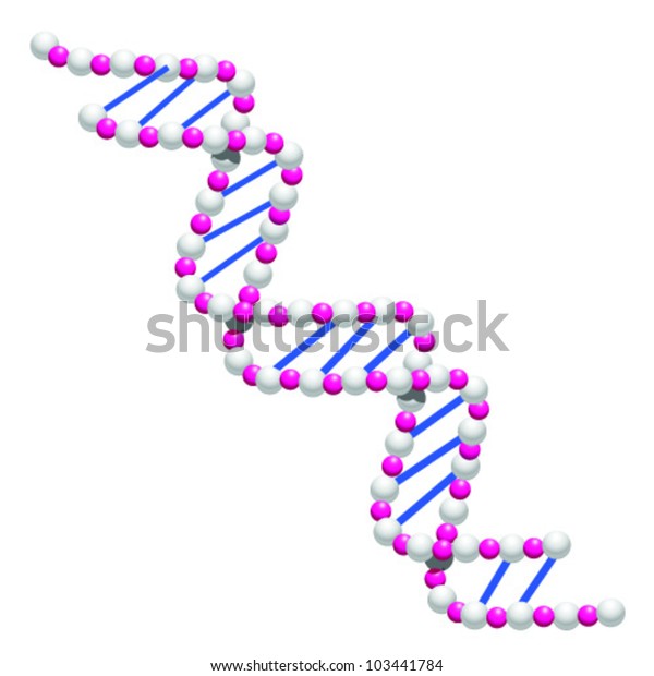 shutterstock