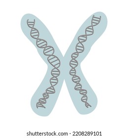 The genetic material (DNA) that carries specific information for organism are condense in chromosome molecule.