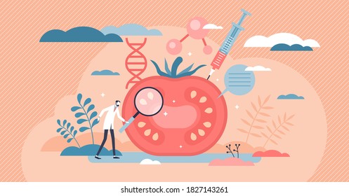 Genetic modification as food GMO unnatural modification tiny person concept. Biotechnology as product improvement with chemical DNA structure change vector illustration. Vegetable and fruit experiment