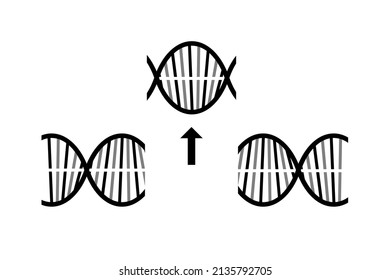 Genetic Modification Symbol Image. Genetic Engineering, Gene Editing Concept Icon. Vector.