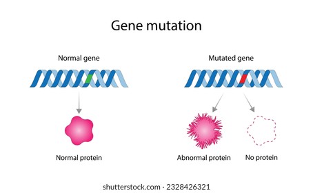 Genetic mutation. Normal and mutated genes. Gene mutation that produce abnormal protein or no protein. scientific design. Vector illustration.