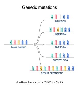 Genetic mutations. DNA Before mutation and after insertion, repeat expansions, substitution, inversion, deletion. DNA repair mechanisms. Vector diagram svg