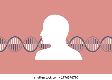 Genetic research illustration. Abstract background whowing on person outline and a helix representing an ADN, genes or chromosomes. Vector.