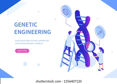 Cientistas genéticos editam DNA. Pode usar para banner web, infográficos, imagens de herói. Ilustração vetorial isométrica plana isolada em fundo branco.