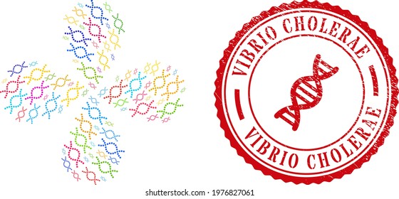 Genetic spiral colored exploding flower cluster, and red round VIBRIO CHOLERAE textured stamp print. Genetic spiral symbol inside round stamp print.