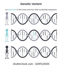 Genetic Variant educational science vector illustration graphic