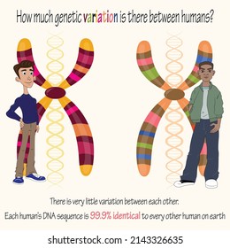 Genetic Variation Between Different People Stock Vector (Royalty Free ...