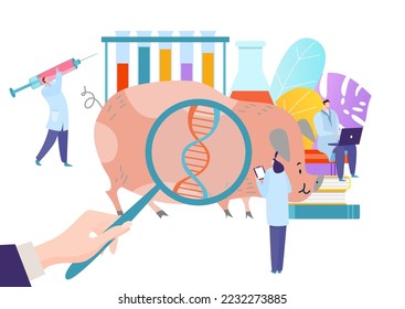 Genetically modern modified animal, scientific research fellow experimental pig flat vector illustration, isolated on white.