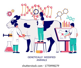 Genetically modified animals, vector flat illustration. Cow dna research, cattle dna testing, genetic modification, dairy cattle genetics concept for web banner, website page etc.