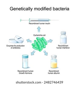 Genetisch veränderte Bakterien. E. coli zur Herstellung von Enzymen für Antibiotika, rekombinantes Interferon, rekombinantes humanes Wachstumshormon, Albumin, Insulin