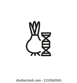 Genetically modified onion line icon. Hyacinth, vegetable, nutrition. Research concept. Vector illustration can be used for topics like farming, genetical modification, crop