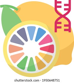 Genetically modified organisms Concept, Lemon with Gene DNA Vector color Icon Design, Smart agriculture symbol on white background, Digital agriculture Sign, satellite farming stock illustration