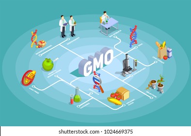 Genetically modified organisms isometric flowchart on turquoise background with dna, research, organic food, gmo goods vector illustration