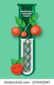 Genetically modified tomato plant 3d vector poster. sprout growing in flask test tube paper cut style illustration. Exploring of new methods for vegetable breeding. Agricultural genetics concept