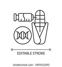 Icono lineal del organismo modificado genéticamente. Alimentos genéticamente modificados. Verdura modificada genéticamente. Ilustración personalizable de línea delgada. Símbolo de contorno. Dibujo de contorno aislado del vector. Trazo editable