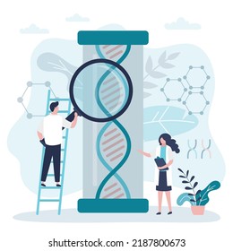 Genetista estudiando estructuras de adn paciente. Los científicos realizan pruebas de laboratorio para detectar cambios genéticos. Los médicos examinan los cromosomas para identificar enfermedades hereditarias. Ilustración vectorial plana