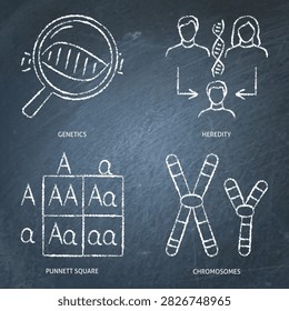 Genetics and heredity chalkboard icon set. Vector illustration