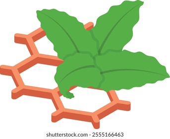 Genetics of hybrid strain leaf isometric concept, Composition and compound in hemp vector icon design, Cannabis and marijuana symbol, thca and cbda sign, recreational herbal drug stock illustration