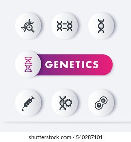 genetics icons set, genetic modification, dna replication, research, vector illustration