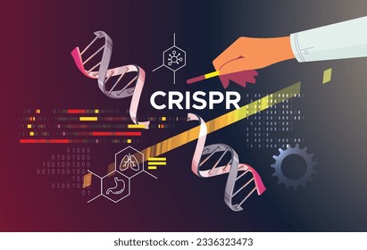 Investigación genética - Edición genética y modificación del ADN Helix - tecnología CRISPR - Resumen Ilustración como archivo EPS 10