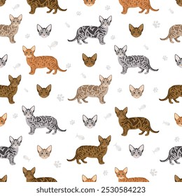 Genetta cat seamless pattern. All cat breeds characteristics infographic. Vector illustration