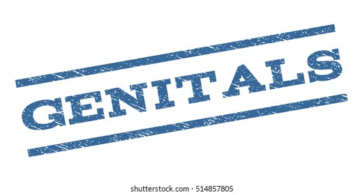 Genitals watermark stamp. Text caption between parallel lines with grunge design style. Rubber seal stamp with dust texture. Vector cobalt blue color ink imprint on a white background.