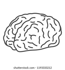 Genius brain icon. Outline genius brain vector icon for web design isolated on white background