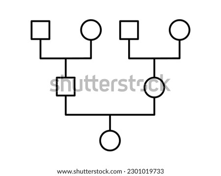 Genogram. Family tree chart. Simple diagram showing family members. Genealogy tree structure. Can be used for ancestry heritage research, medical history, systematic constellation. Vector illustration