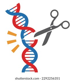 Genome editing image vector illustration