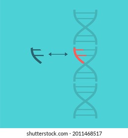 Genome editing, regulating and targeting medical concept
