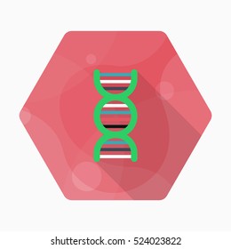 Genome icon , Vector flat long shadow design.