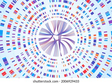 Genome Infographic. Dna Sequence Visualization, Genetic Mapping, Gene Barcoding. Abstract Chromosome Map Diagram, Genetics Analysis Vector Concept. Circular Network Colorful Structure
