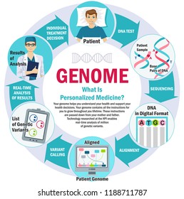 Genome. Personalized Medicine. Infographics. Health and biochemistry laboratory of nanotechnology.  Laboratory with human DNA. Concept scientific.