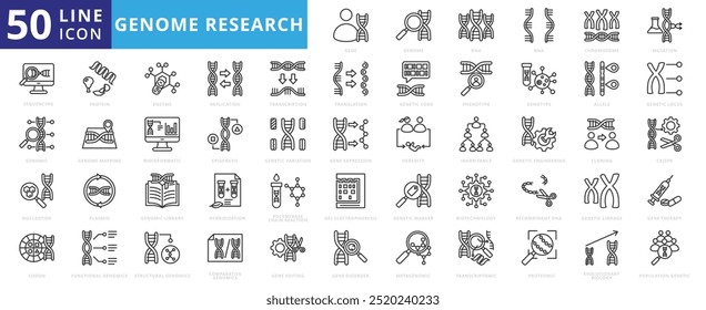 Ícone de pesquisa genômica definido com dna, rna, cromossomo, mutação, sequenciamento, genoma, nucleotídeo, códon, proteína, enzima, transcrição e replicação.