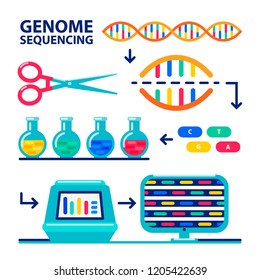 Genome Sequencing Infographic. Human Genome Project. Flat Style Vector Illustration