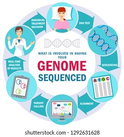 Genome sequencing. Molecule helix of dna, genome or gene evolution. Personalized Medicine. Infographics. Health and biochemistry laboratory of nanotechnology.  Laboratory with human DNA.